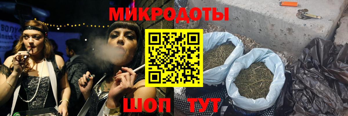 Псилоцибиновые грибы Cubensis  Вход с VPN  Мыски 