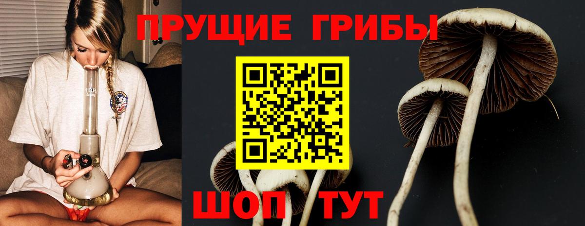 Галлюциногенные грибы прущие грибы Мыски